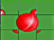 Play Animation Puzzle-Cricket now