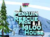 Play penguin rescue from igloo house now