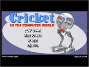 Play Cricket in the computer world now