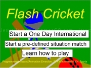Play Flash cricket now