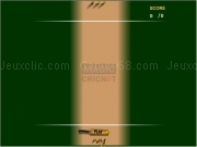 Play Magic cricket now