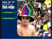 Play Cricket sport cricket challenge now