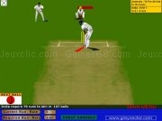 Play Virtual cricket now