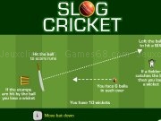 Play Slogcricket now