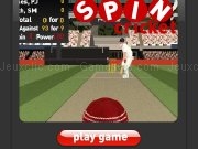 Play Spin cricket now