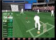 Play Cricket craziness now