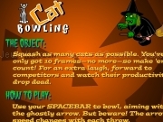 Play Cat bowling now