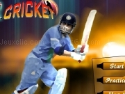 Play Cricket now