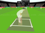 Play Power test series cricket now
