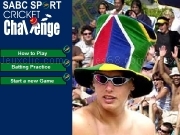 Play Cricket Challenge now