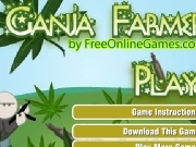Ganja farmer