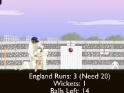 Play Top spinner cricket now