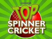 Play Top spinner cricket now