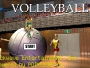 Play Volleyball now