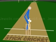 Play Stick cricket now