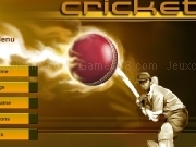Play Cricket now
