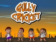 Play Gully cricket now