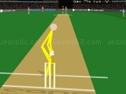 Play Cann cricket now