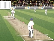 Play 2020 cricket now