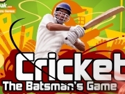 Play Cricket - the batsmans game now