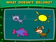 What doesnt belong