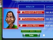 Play Cricket overdose now
