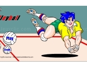 Play Volleyball now