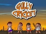 Play Gully cricket now