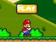 NEW SUPER MARIO BROS FLASH free online game on