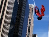 Play Spiderman Photo Catch 2
