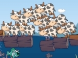 Freaky Cows