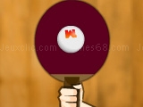 Ping Pong Miniclip