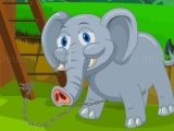 Play Baby Tusker Survival