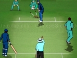 Play Ultimate Cricket