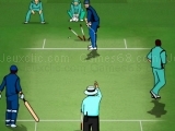 Ultimate Cricket