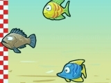Play Fish Race Champions now