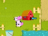 Crazy cow