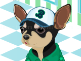 Play Animal sportsfan dressup now