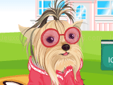 Play Cute shtizu dressup now