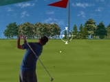 Play Flashgolf now