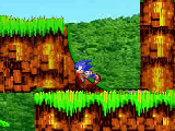 Sonic the hedgehog