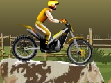 Stunt dirt bike