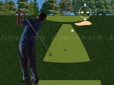 Flash golf 3D