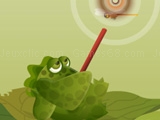 Play Frogee shoot now