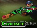 Play Cricket batter challenge game