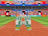 Play Cricket fielder challenge