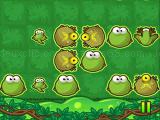 Play Frog rush