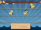 Play Duck carnival shoot now