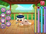 Play My pocket pets: kitty cat