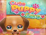 Play Cute puppy care now